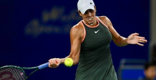 的粉丝来说 的粉丝来说